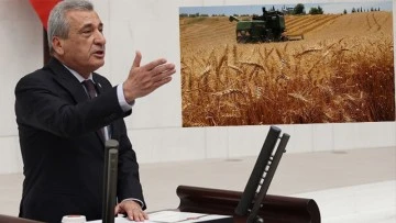 CHP'li Öztürkmen'den hükümete 'buğday' uyarısı