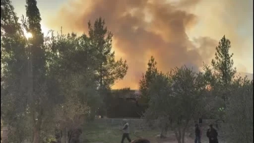 Gaziantep’te korkutan bağ evi yangını