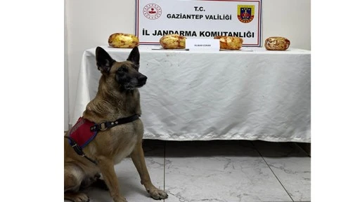 JANDARMA NARKOTİK KÖPEĞİ 3 KİLO 250 GR ESRARI ELE GEÇİRİLDİ 