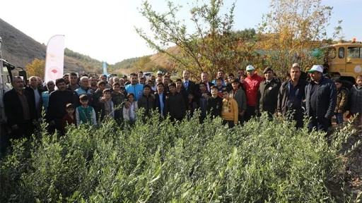 Nizip Belediyesi, bin adet zeytin fidesi dikti