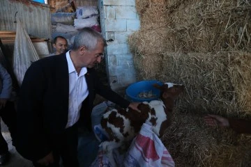 Şahinbey Belediyesi’nin destekleri ile hayvancılık gelişiyor